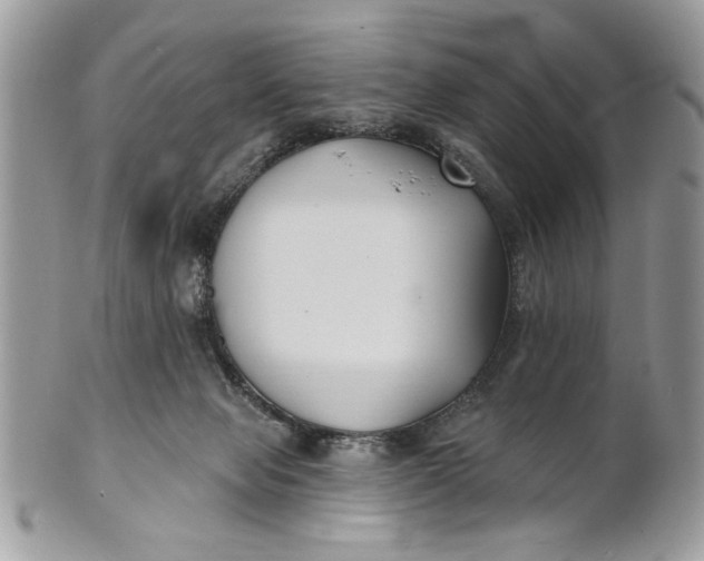 X0000100870077200807071112