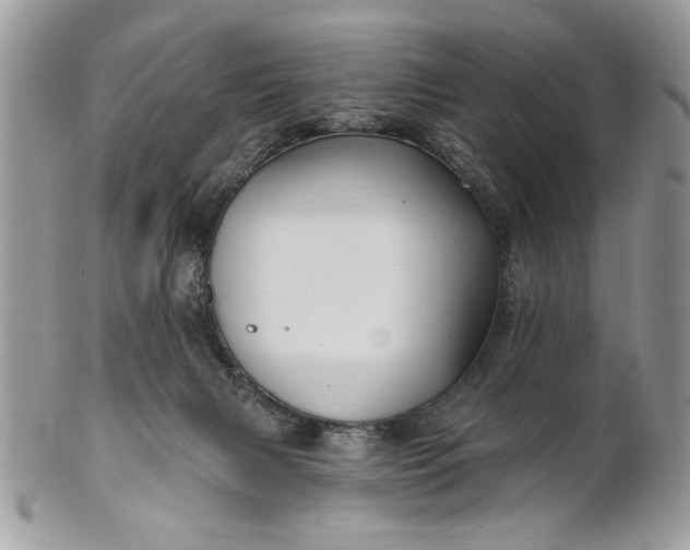 X0000100870079200807071112