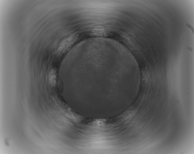 X0000100870080200807071112