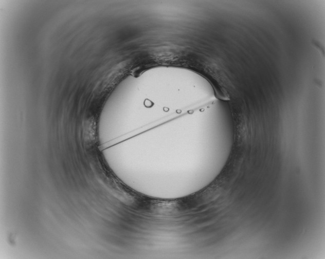 X0000100870081200807071112