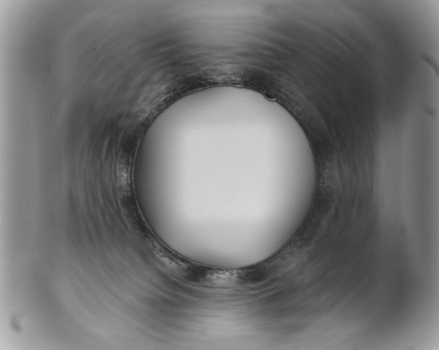 X0000100870084200807071112