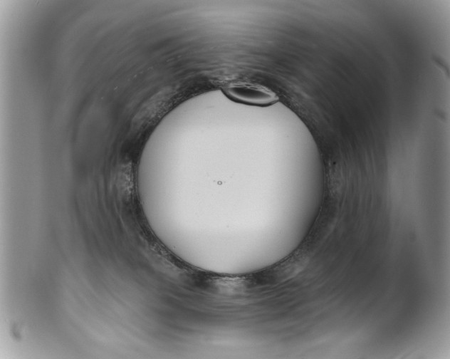 X0000100870085200807071112