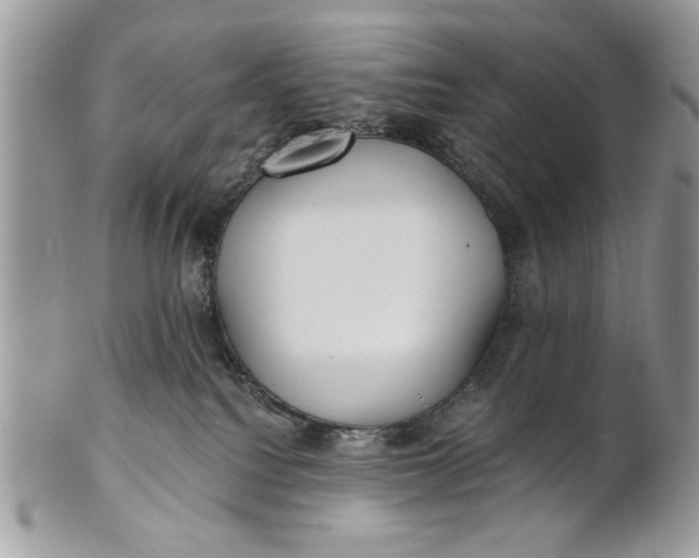 X0000100870088200807071113