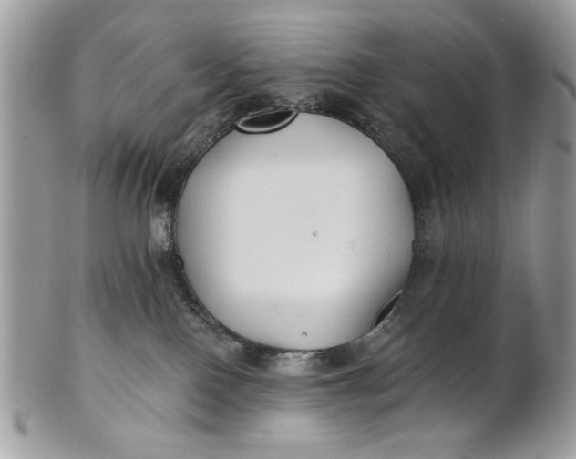 X0000100870090200807071113