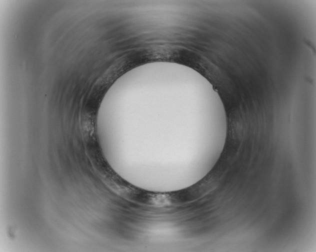 X0000100870091200807071113