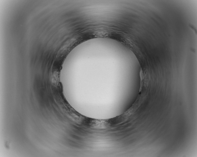 X0000100870093200807071113