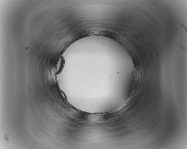 X0000100870094200807071113