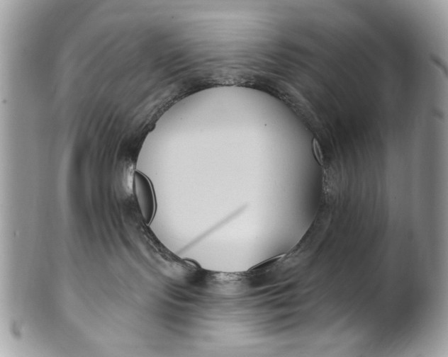 X0000100870095200807071113