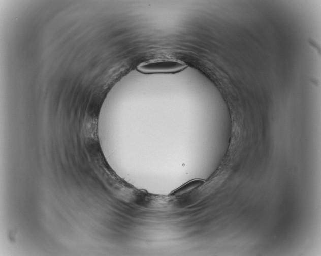 X0000100870096200807071113