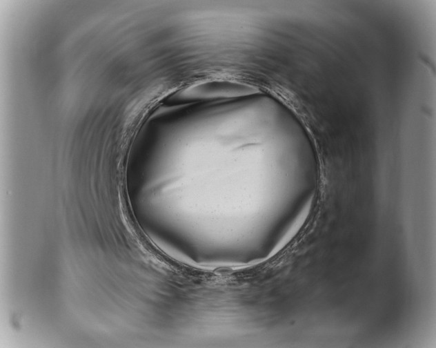 X0000100870097200807071112