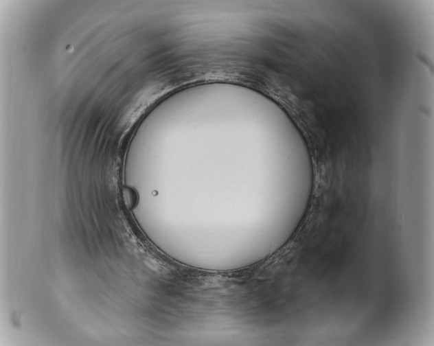 X0000100870098200807071112