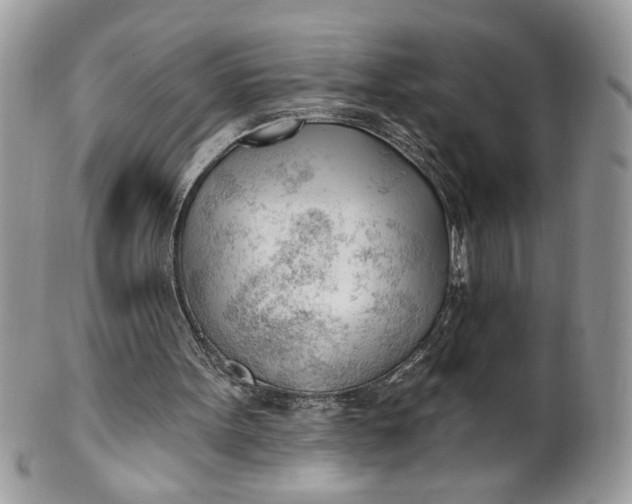 X0000100870099200807071112