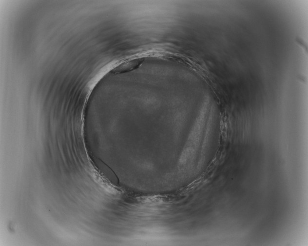 X0000100870100200807071112