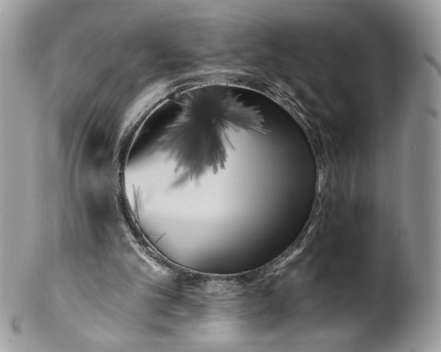 X0000100870101200807071112