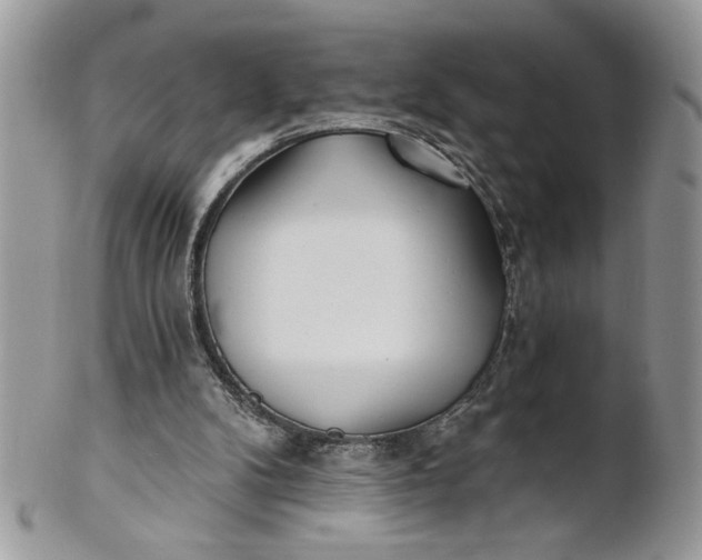 X0000100870104200807071112