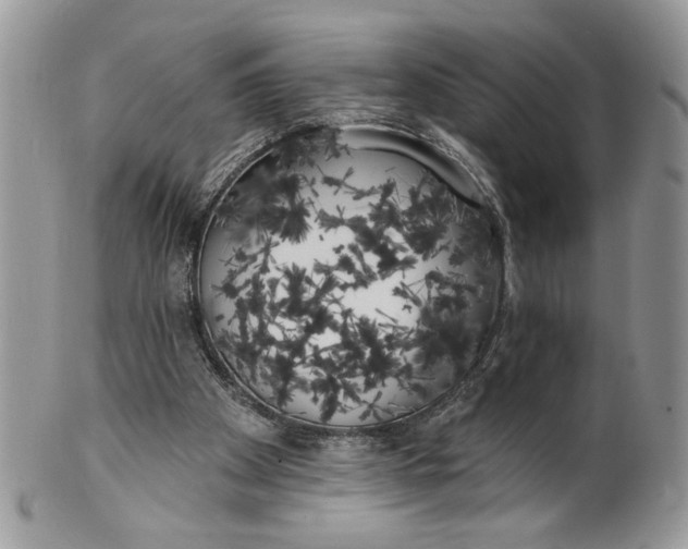 X0000100870105200807071112