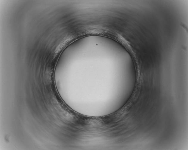 X0000100870106200807071112