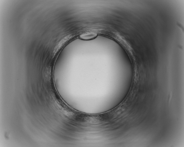 X0000100870107200807071112