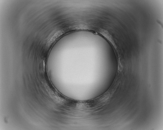 X0000100870109200807071112