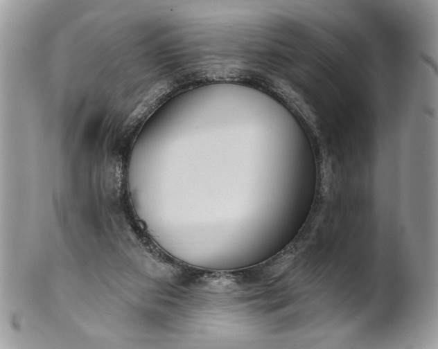 X0000100870113200807071112