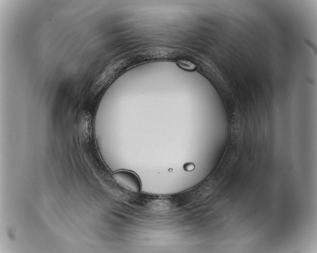 X0000100870119200807071112