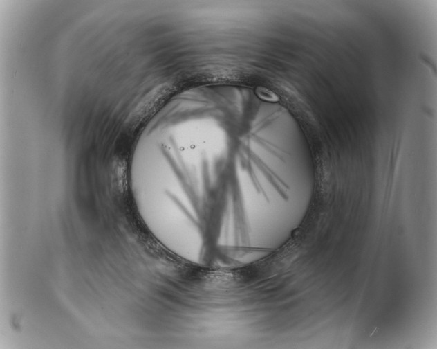 X0000100870123200807071112