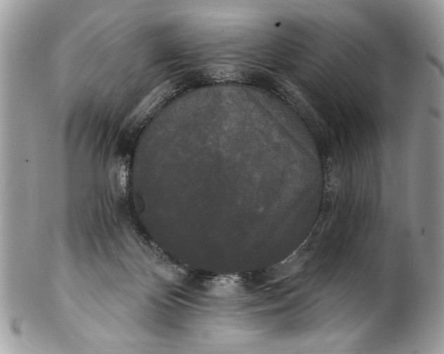 X0000100870124200807071112