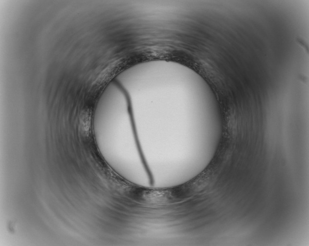 X0000100870129200807071111