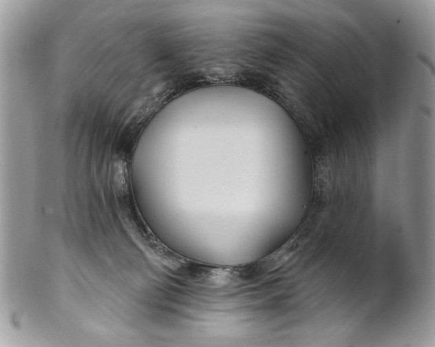 X0000100870130200807071111