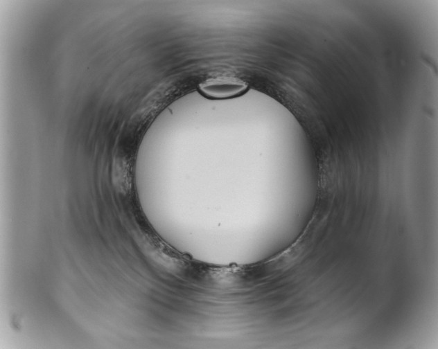 X0000100870136200807071111