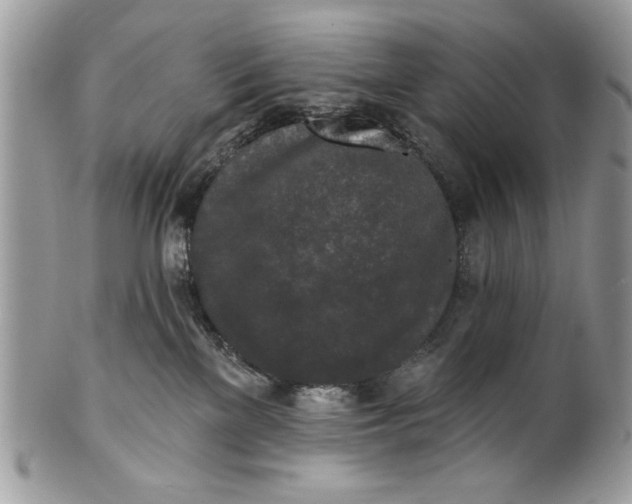 X0000100870137200807071111