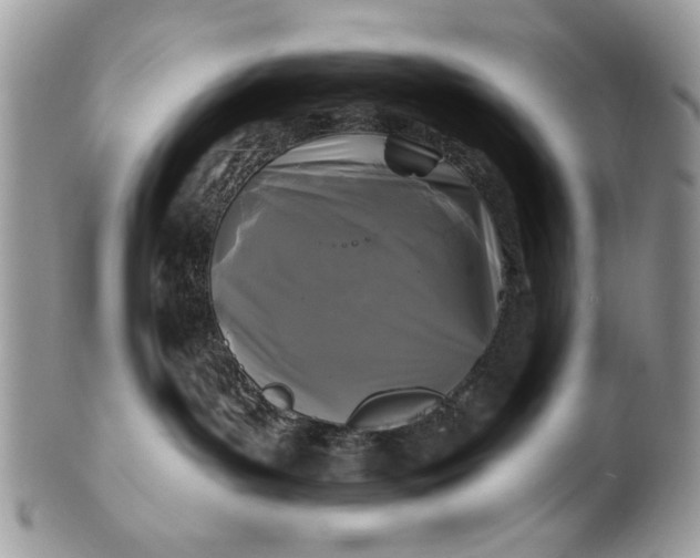 X0000100870143200807071111