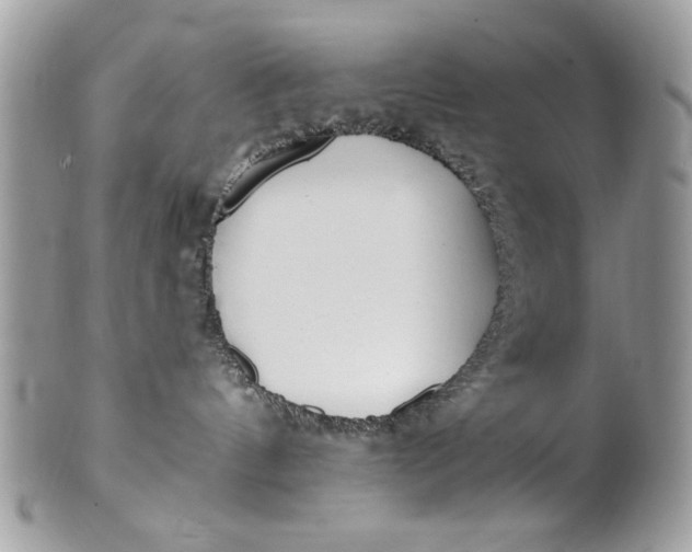 X0000100870144200807071111