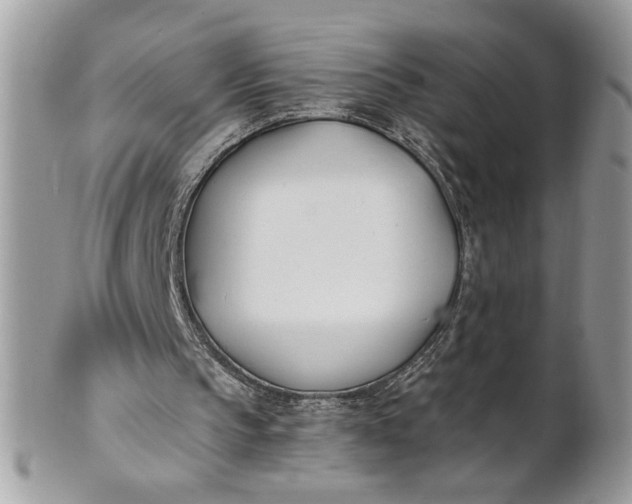 X0000100870145200807071111