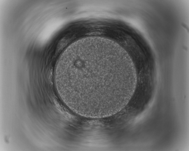 X0000100870146200807071111