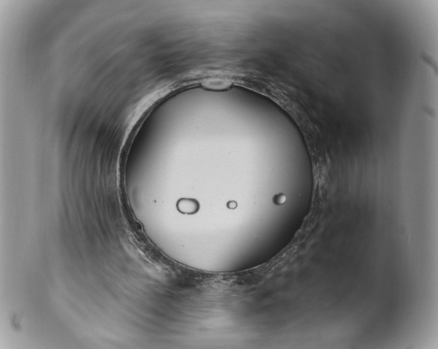 X0000100870148200807071111