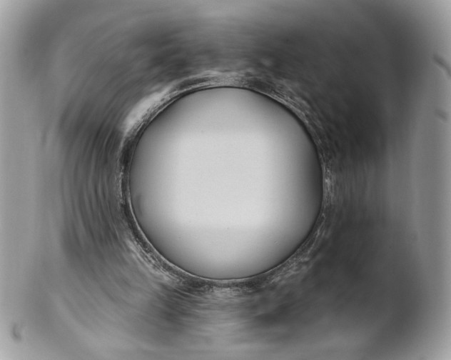 X0000100870149200807071111