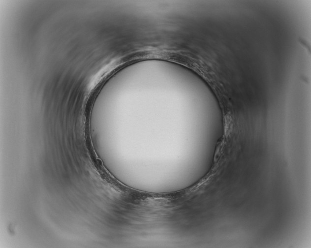 X0000100870150200807071111