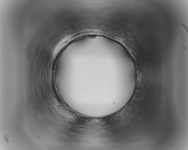 X0000100870151200807071111