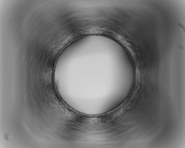 X0000100870153200807071111