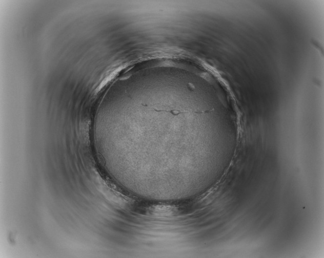 X0000100870154200807071111