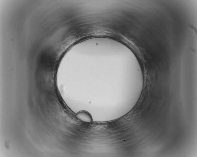 X0000100870155200807071111