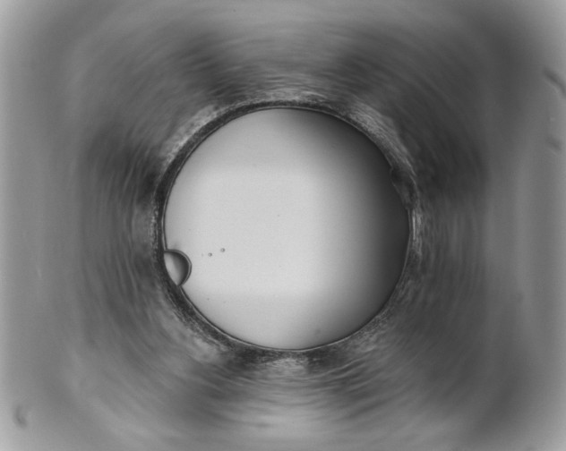 X0000100870156200807071111