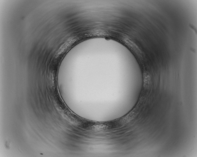 X0000100870158200807071111