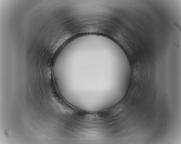 X0000100870160200807071111