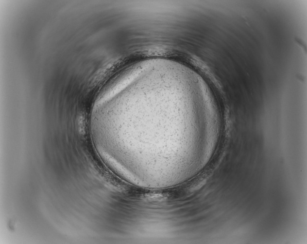 X0000100870161200807071111