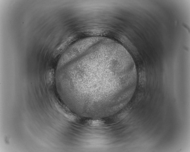 X0000100870165200807071111