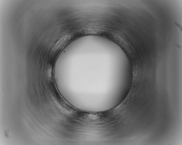 X0000100870166200807071111