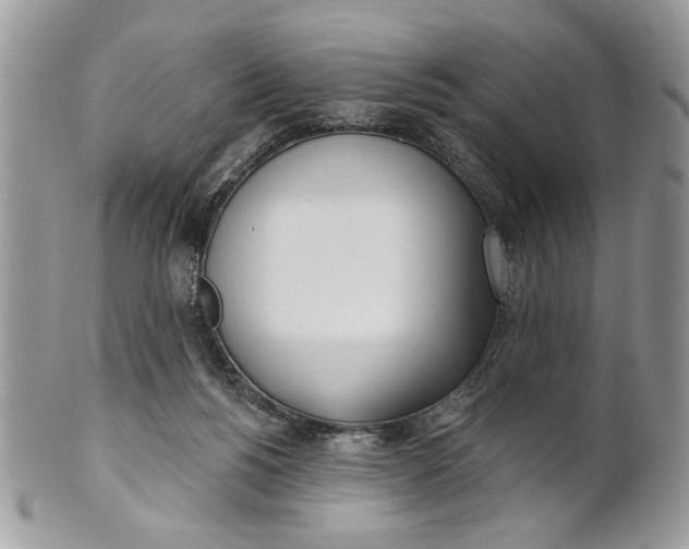 X0000100870168200807071111