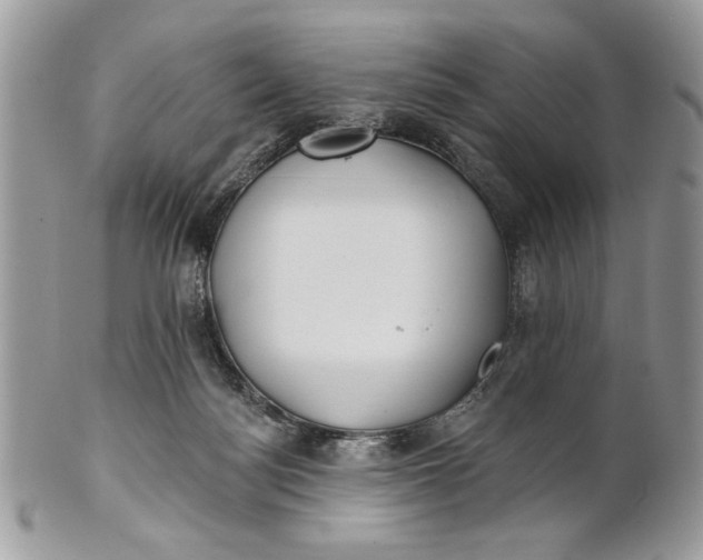 X0000100870172200807071111